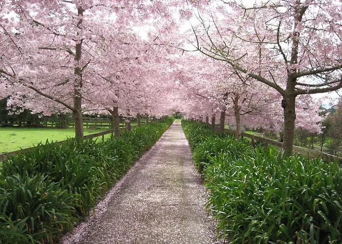 English Cherry Tree Manor