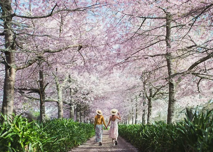 English Cherry Tree Manor