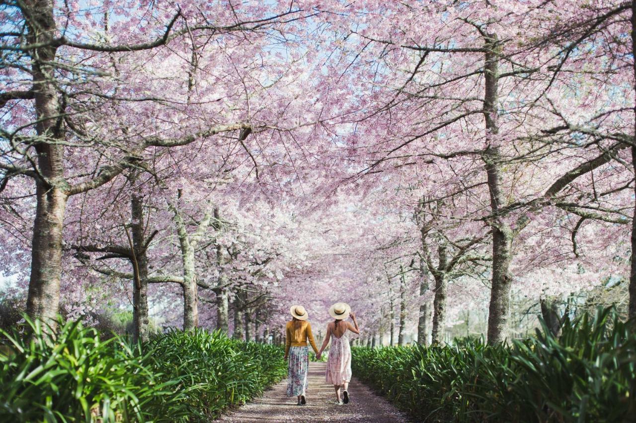 Cherry Tree Manor