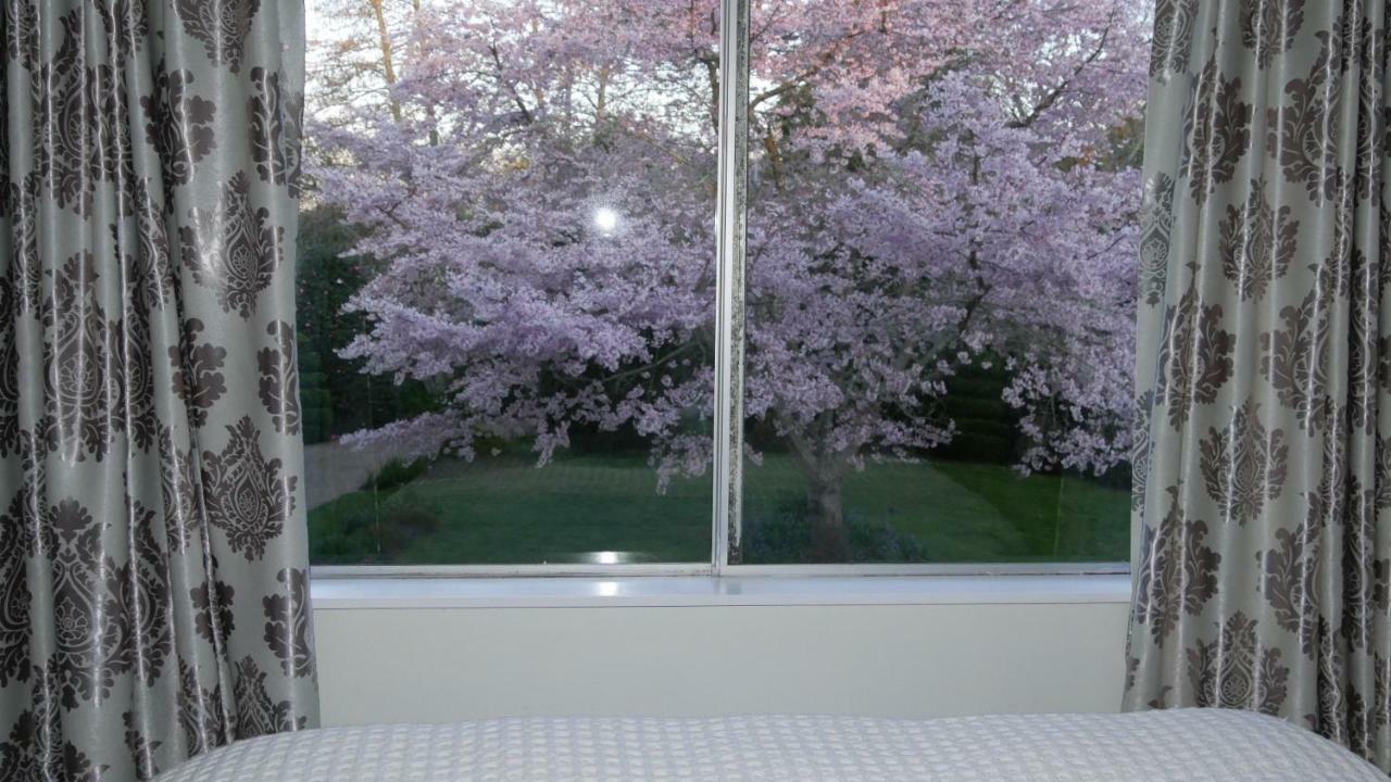 Cherry Tree Manor Bed & Breakfast Tamahere