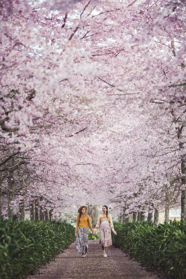 Cherry Tree Manor